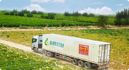 专业供应链服务