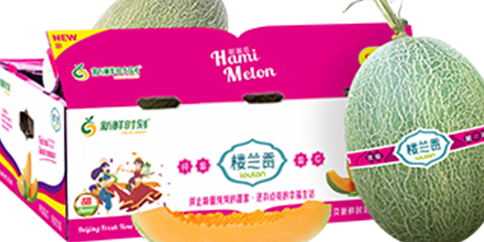 楼兰香哈密瓜